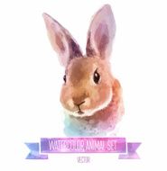 Vector set of watercolor illustrations Cute Rabbit N2