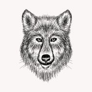 Sketch realistic face Wolf Hand drawn vector illustration N2