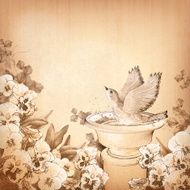 Pencil hand drawing bird in bath and pansy flower N2