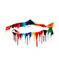 Colorful vector fish design