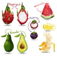 Set of tropical fruits Isolated vector