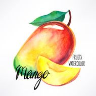 watercolor mango