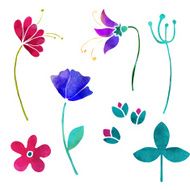 Hand painted floral watercolor set flowers and leaves N8