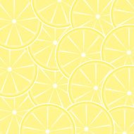 Lemon fruit abstract background vector illustration N2