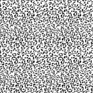 Black and white animal background N2