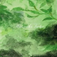 floral leaf Spring branches and leaves Vector watercolor backg
