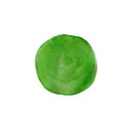 Abstract green watercolor painted circle N4
