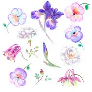 Hand drawn garden flower set