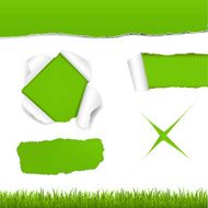 Green Torn Paper Set