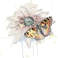 butterfly and daisy N2