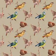 Seamless pattern with birds N25
