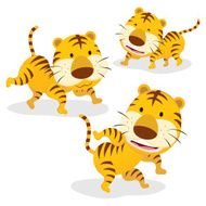 Three tigers