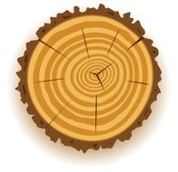 wooden cut