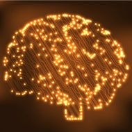 Circuit board computer brain Vector illustration N44