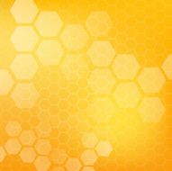 Honey pattern vector illustration N7
