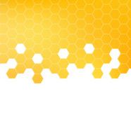 Honey pattern vector illustration N8