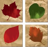 set of colors leaves on a crumpled paper