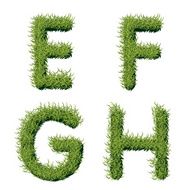 Green Grass Alphabet E F G H