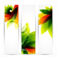 Vector nature banners N2