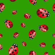 Ladybird seamless texture