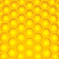 Honey cells structure