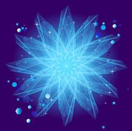 Christmas Star N18
