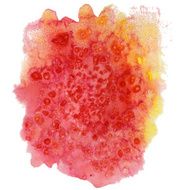 watercolor N290