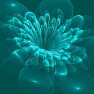 Beautiful flower on blue background N2
