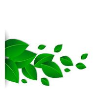 background with green leaves N2