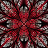 Symmetrical pattern of the leaves in red white and black N2