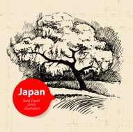 Hand drawn Japanese illustration N5