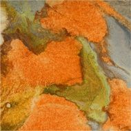 Abstract watercolor background Orange green brown Autumn vector