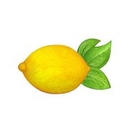 Watercolor lemon and leafs isolated
