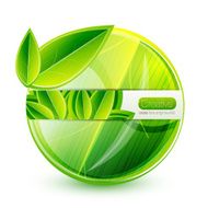 Vector nature leaves background N5