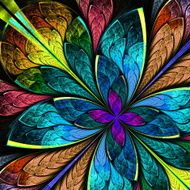 Beautiful multicolor fractal flower Computer generated graphics N13