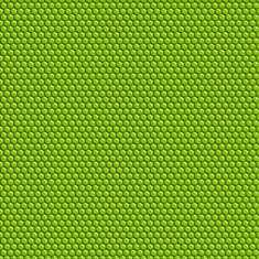 Iguana skin seamless pattern