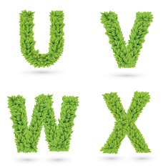 Letters of green leaves collection N2