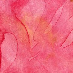 Coral colored hand painted background N2