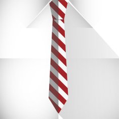 Shirt and tie close up vector N2