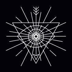 Vector linear emblem - abstract hipster logo template N2