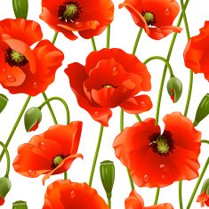 Seamless background poppy