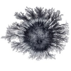 Abstract ink splatter
