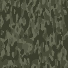 vector camouflage background pattern
