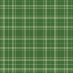 Seamless pattern Scottish green cage N2