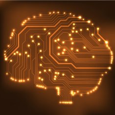 Circuit board computer brain Vector illustration N39