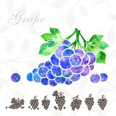 Grape icons set N2