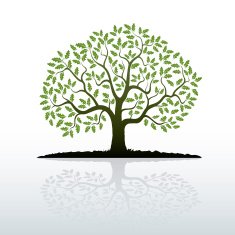 Color Oak Tree N2