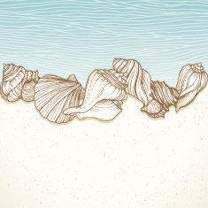 Seashells On a Beach Border N2