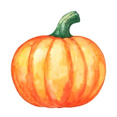 Watercolor vegetable pumpkin closeup isolated