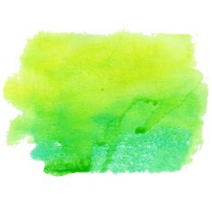 watercolor N283
